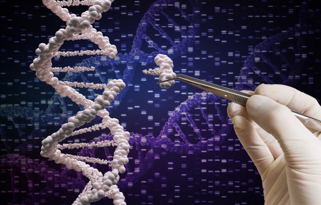 Revolucionarna metoda menjanja gena moæi æe da leèi rak i sidu